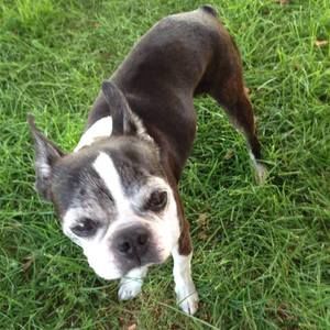 Meet your Posher, Pamela